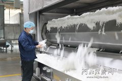 逐绿而行 河北国资国企擦亮高质量成长底